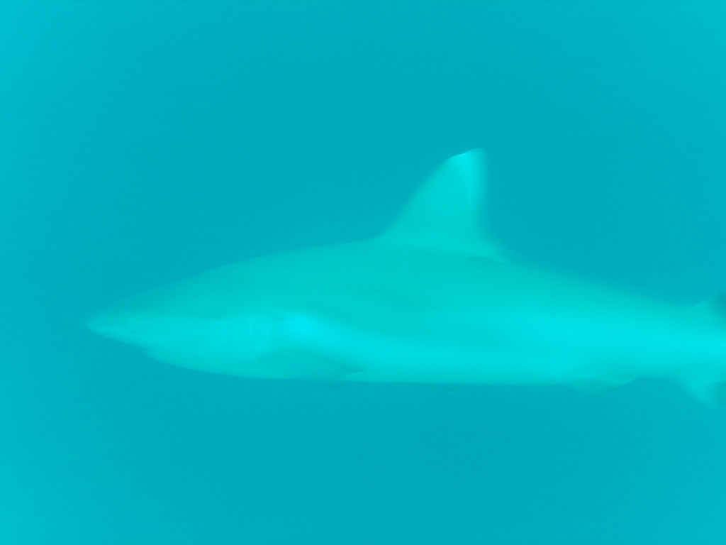 DSC00091.JPG