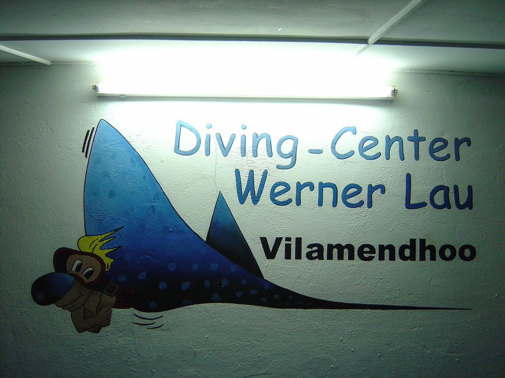 DSC00133.JPG