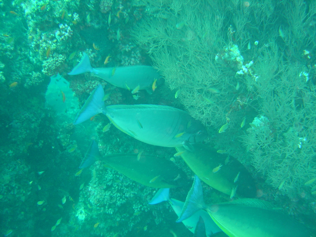 DSC00142.JPG