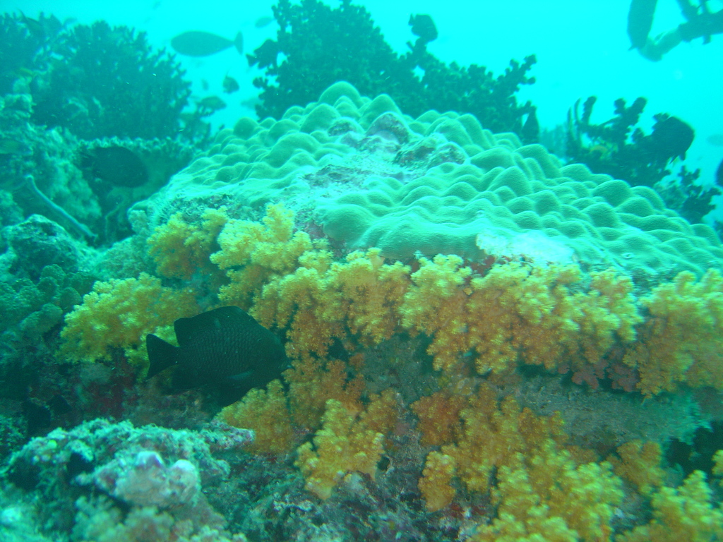 DSC00164.JPG
