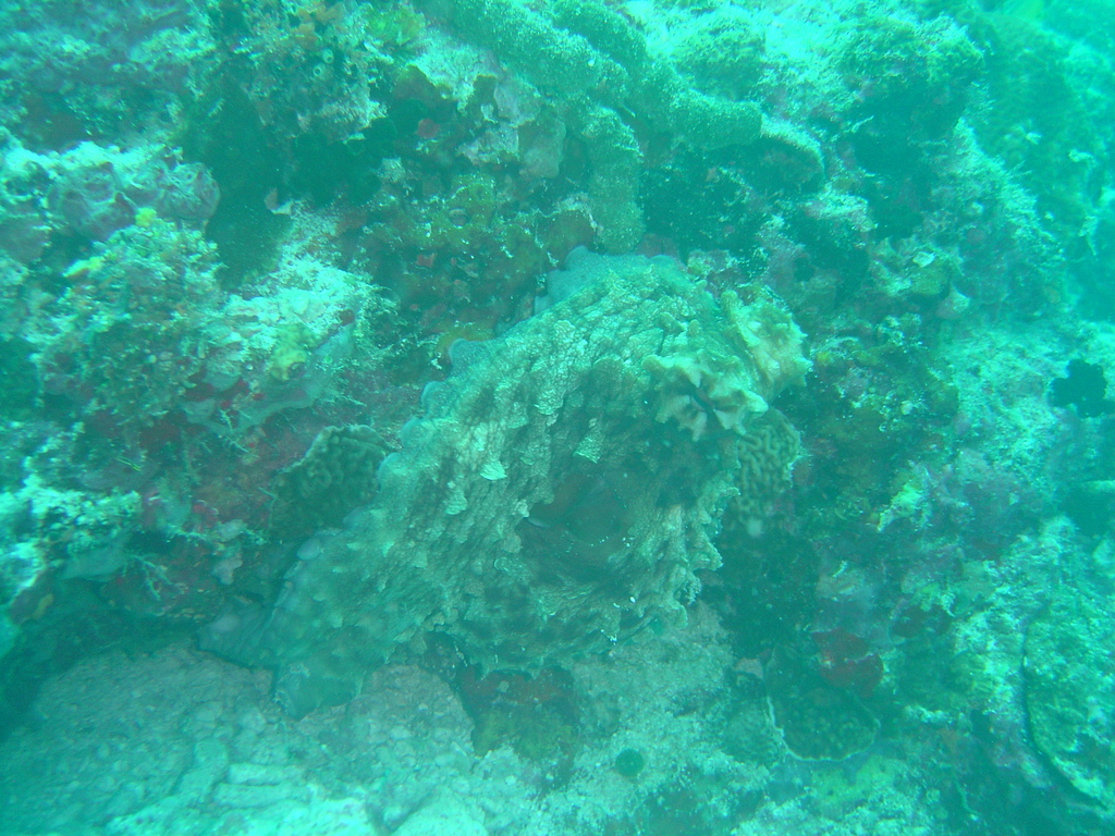 DSC00182.JPG