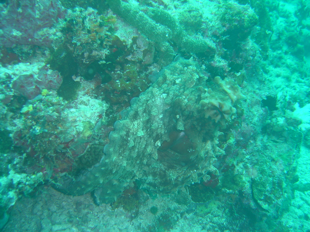 DSC00184.JPG