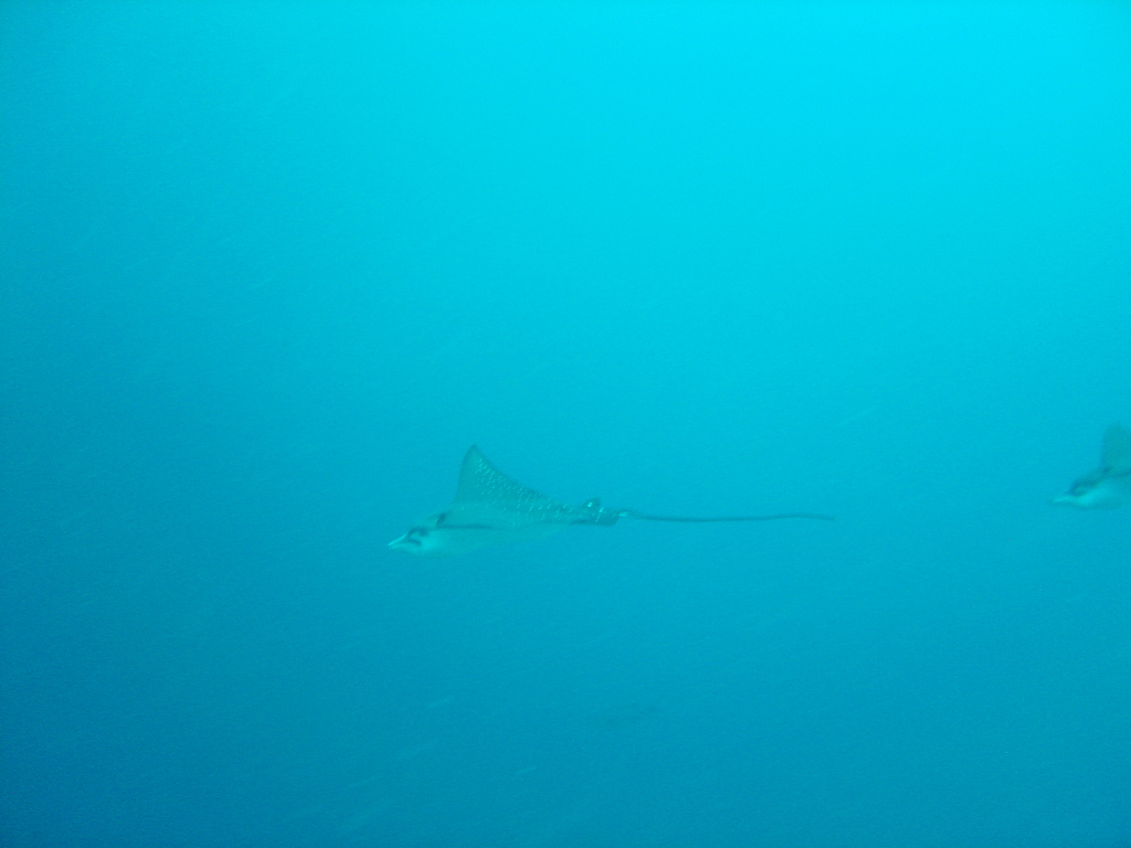 DSC00206.JPG