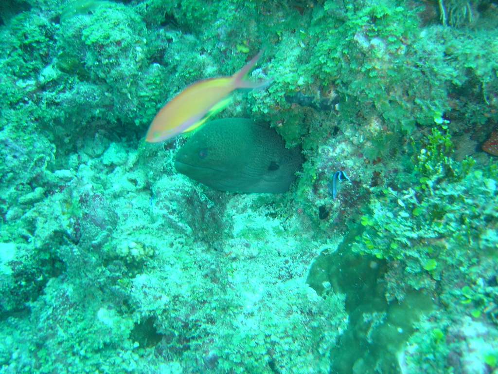 DSC00224.JPG