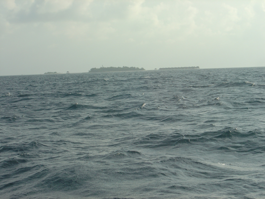 DSC00237.JPG