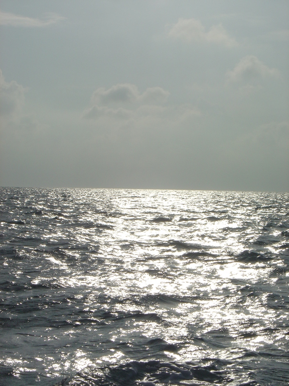 DSC00239.JPG
