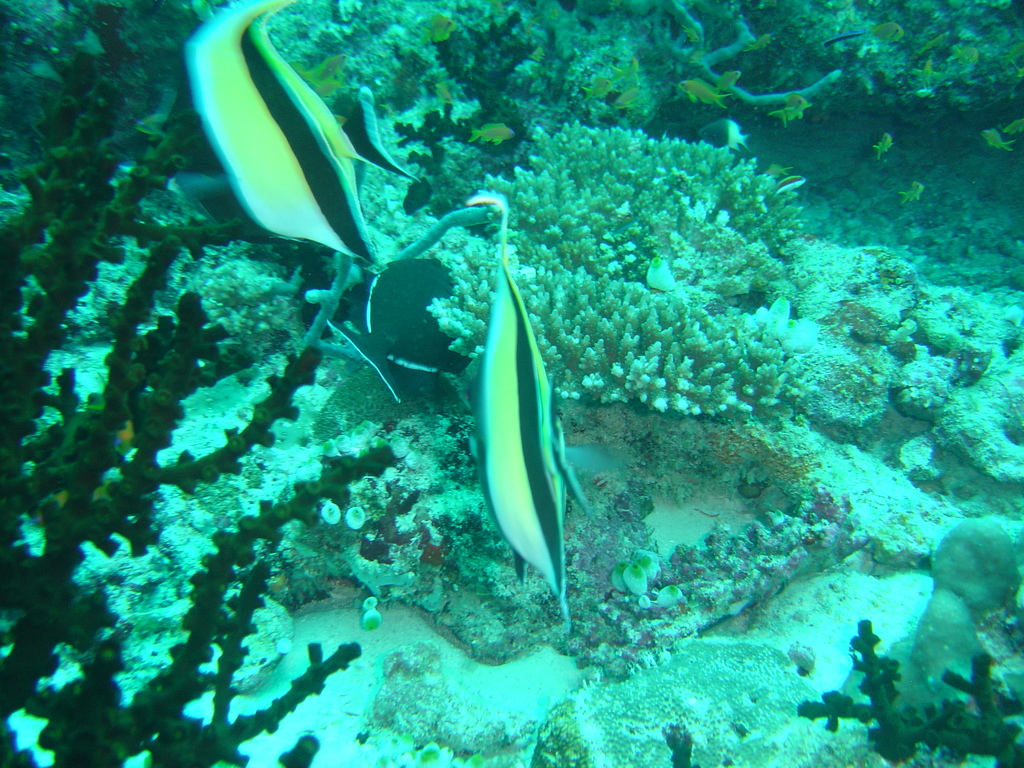 DSC00249.JPG