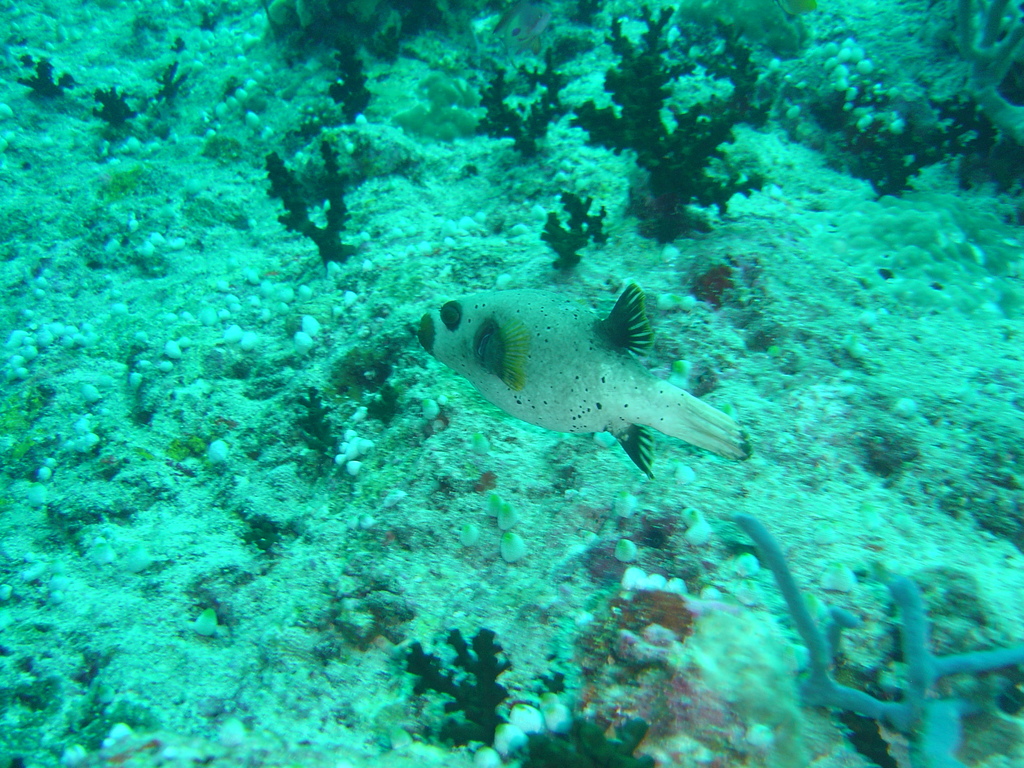 DSC00251.JPG