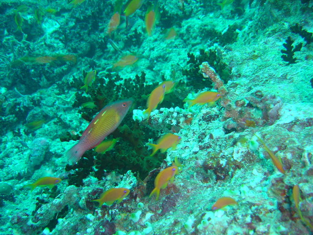 DSC00264.JPG