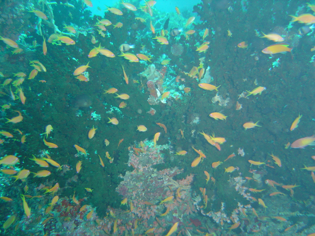 DSC00265.JPG