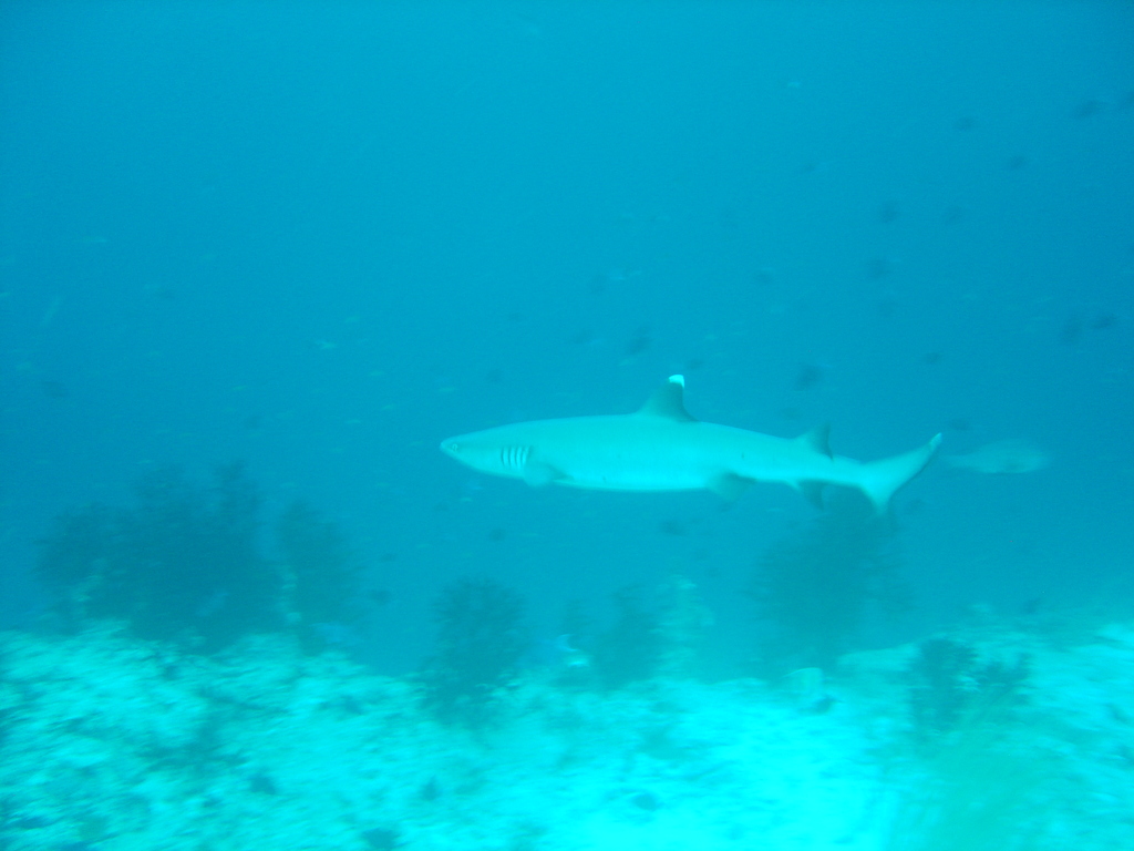 DSC00277.JPG