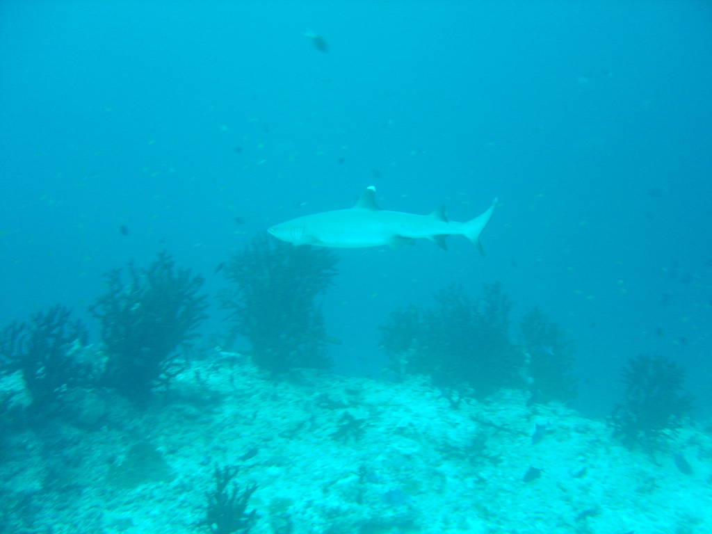 DSC00278.JPG