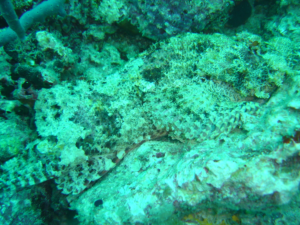 DSC00285.JPG
