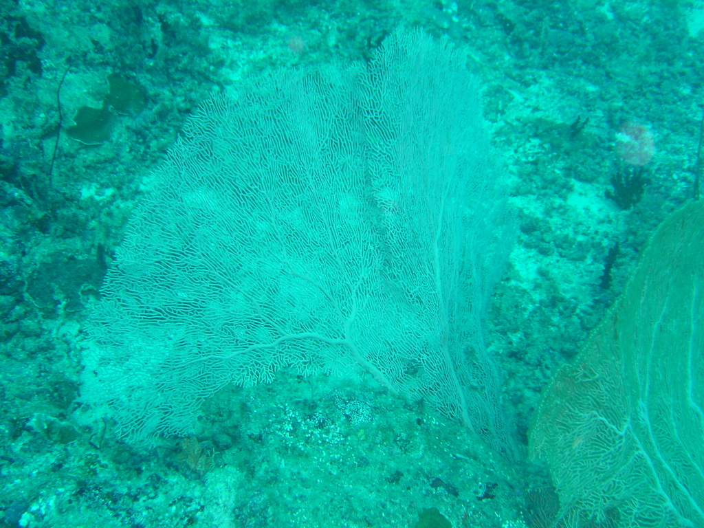 DSC00345.JPG