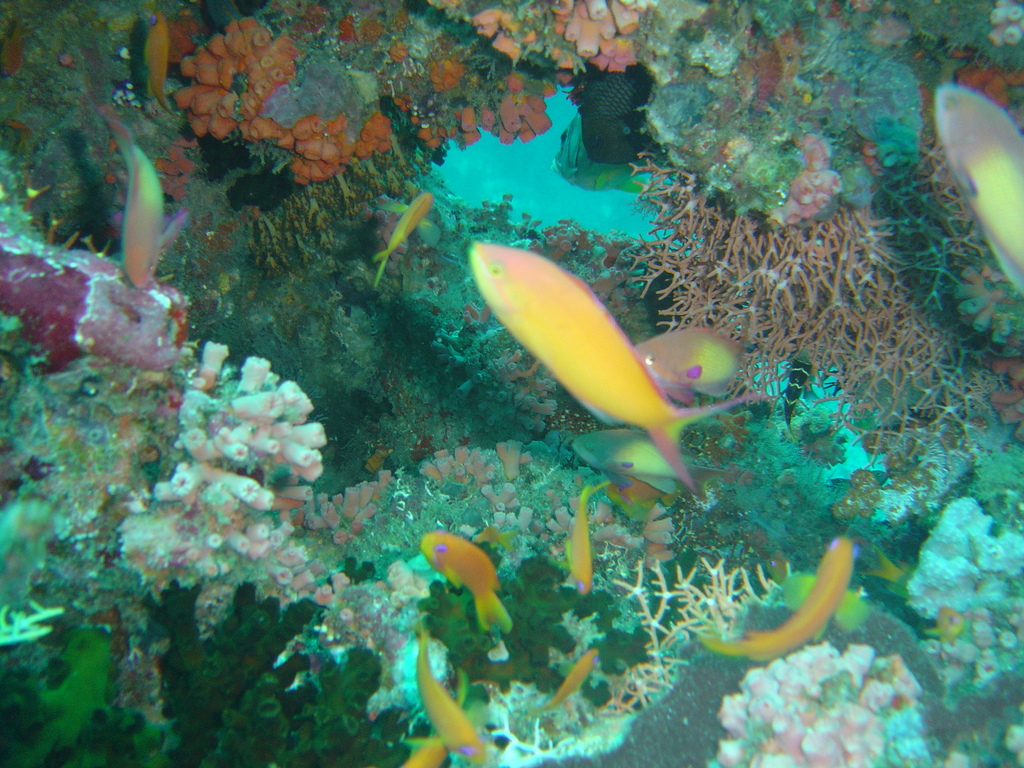 DSC00356.JPG