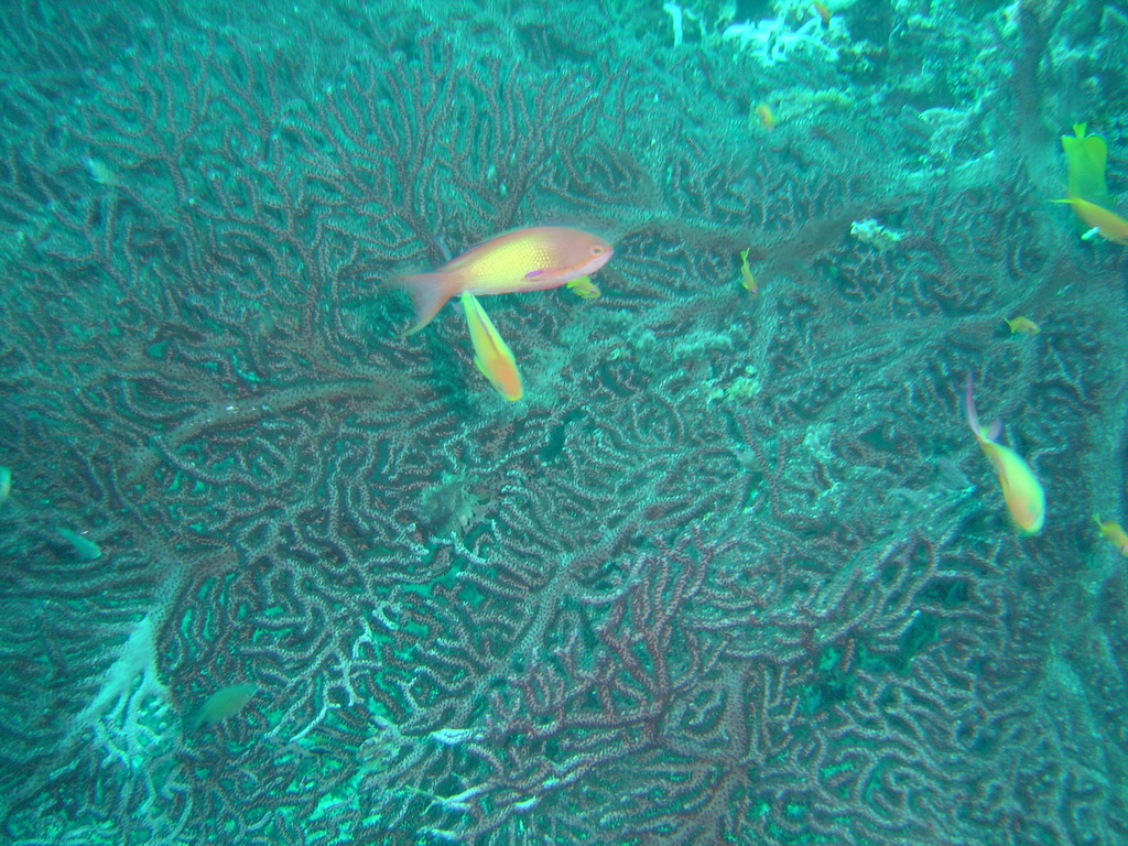 DSC00359.JPG