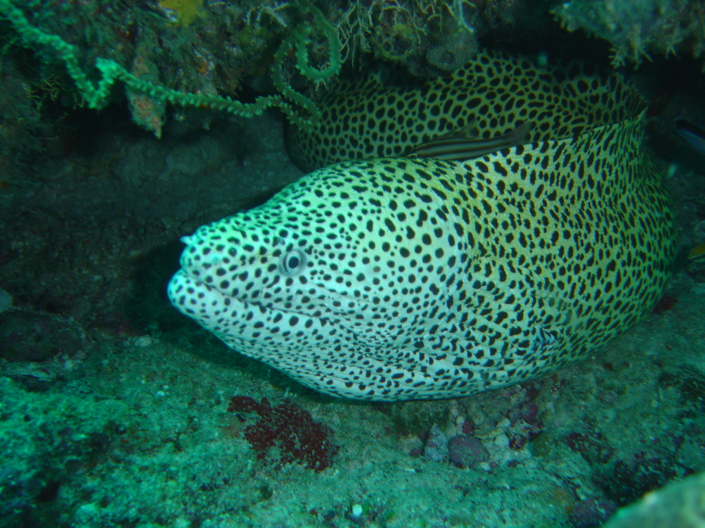 DSC00365.JPG
