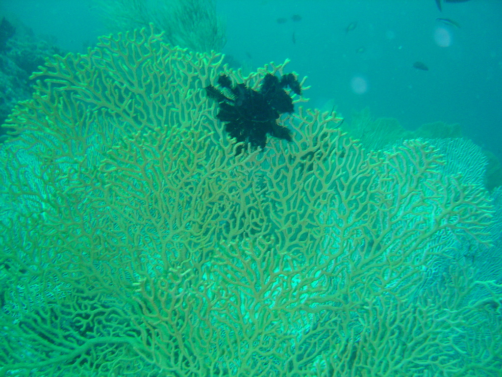 DSC00368.JPG