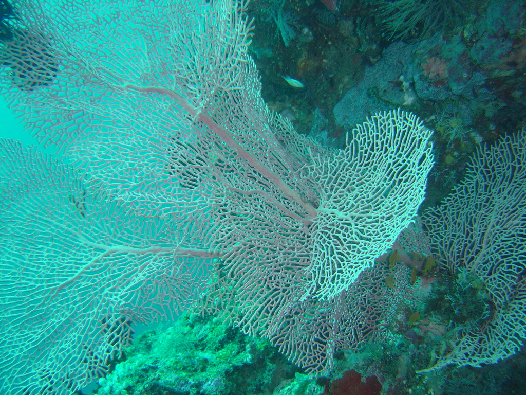 DSC00376.JPG
