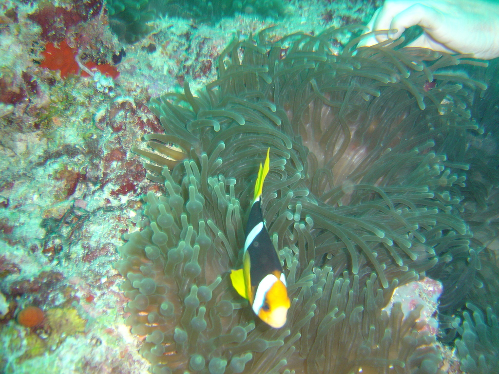 DSC00380.JPG