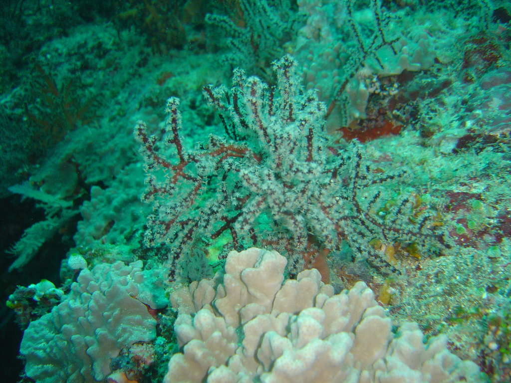 DSC00389.JPG