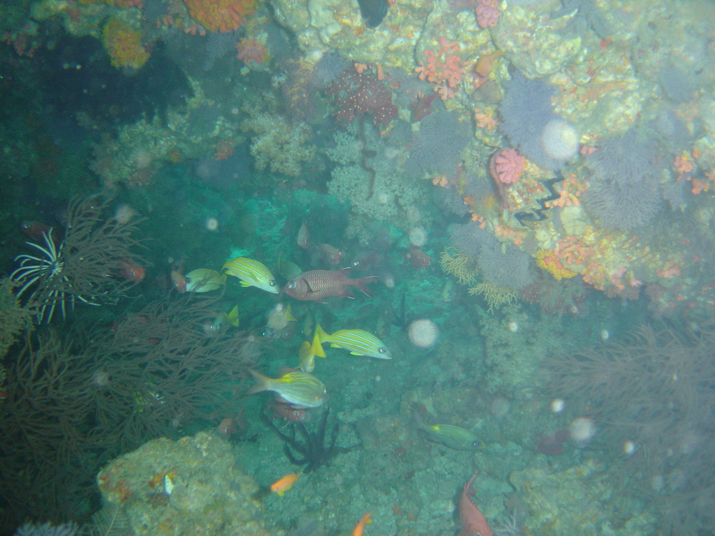 DSC00394.JPG