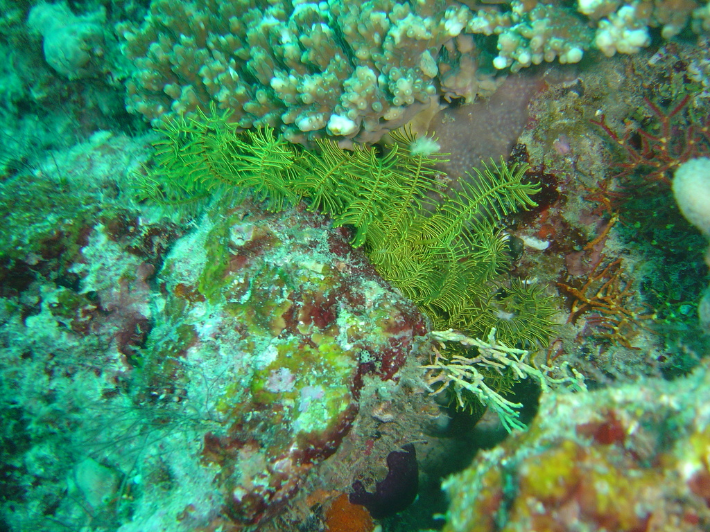 DSC00397.JPG