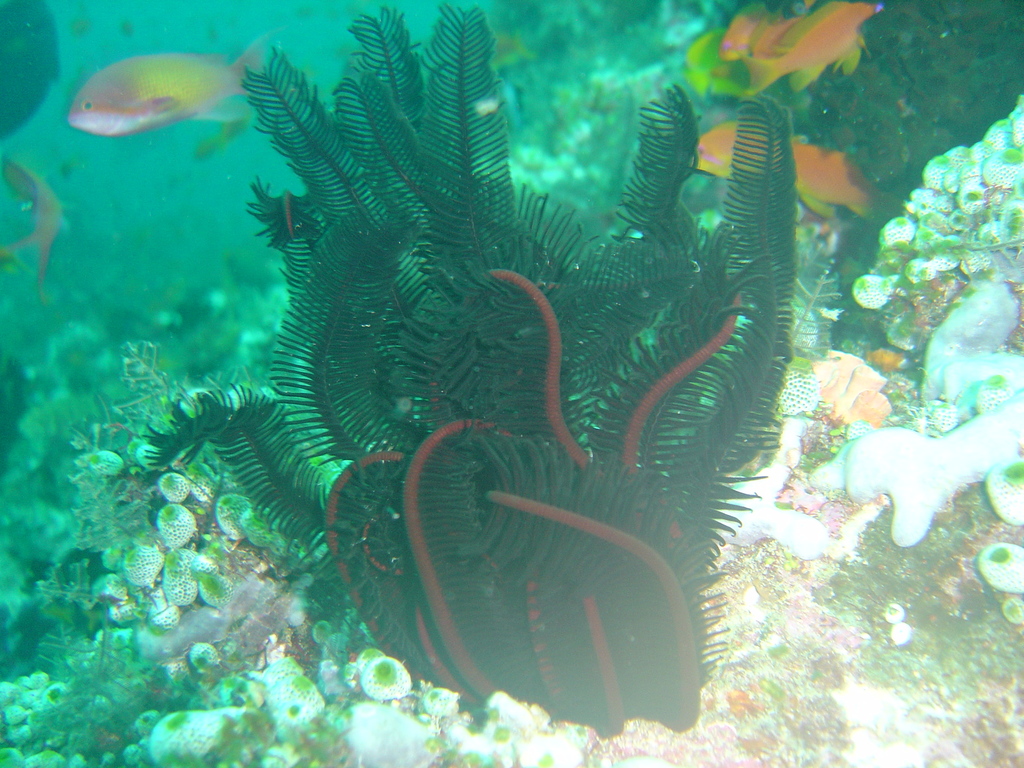 DSC00398.JPG