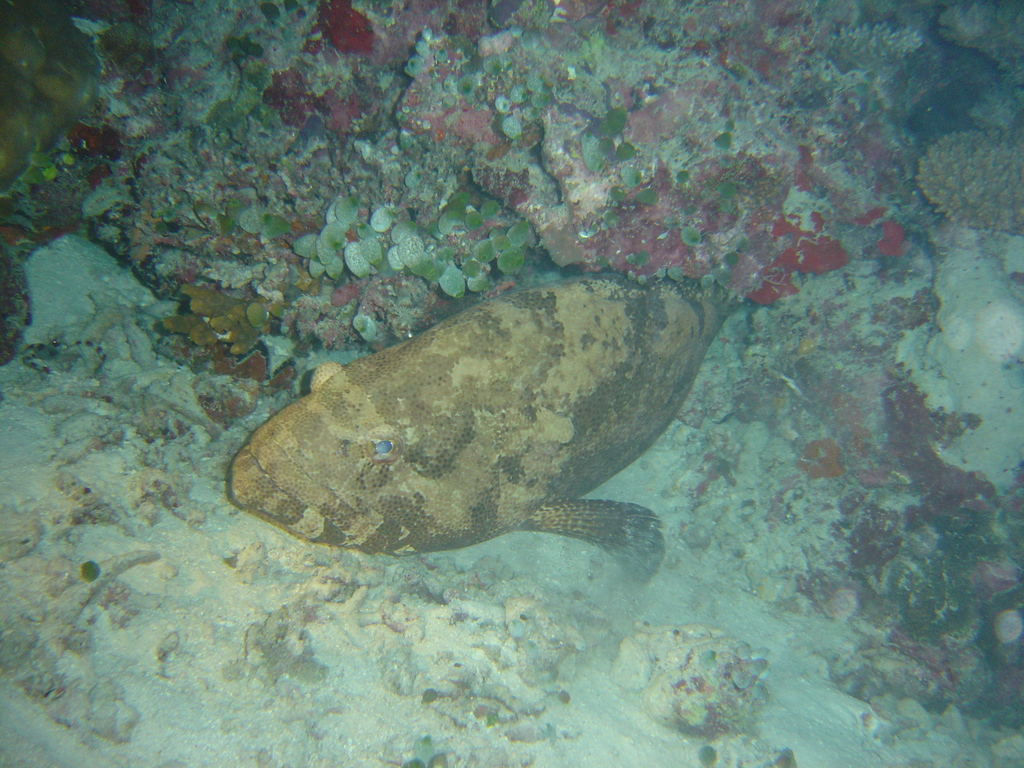 DSC00420.JPG