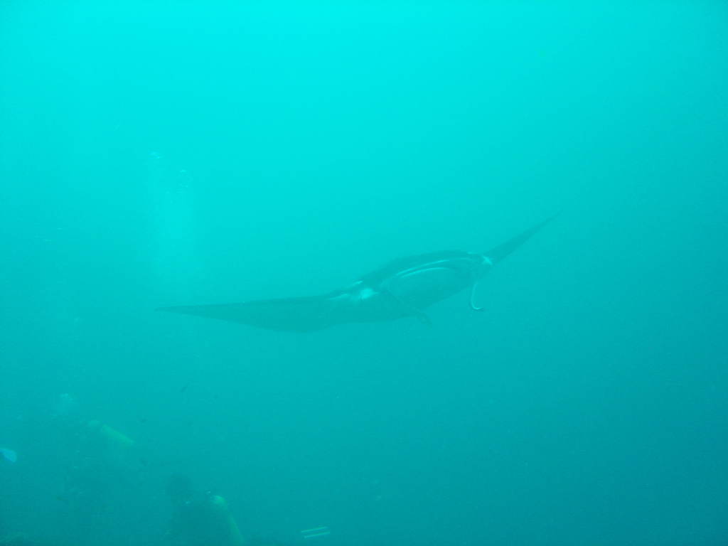 DSC00426.JPG