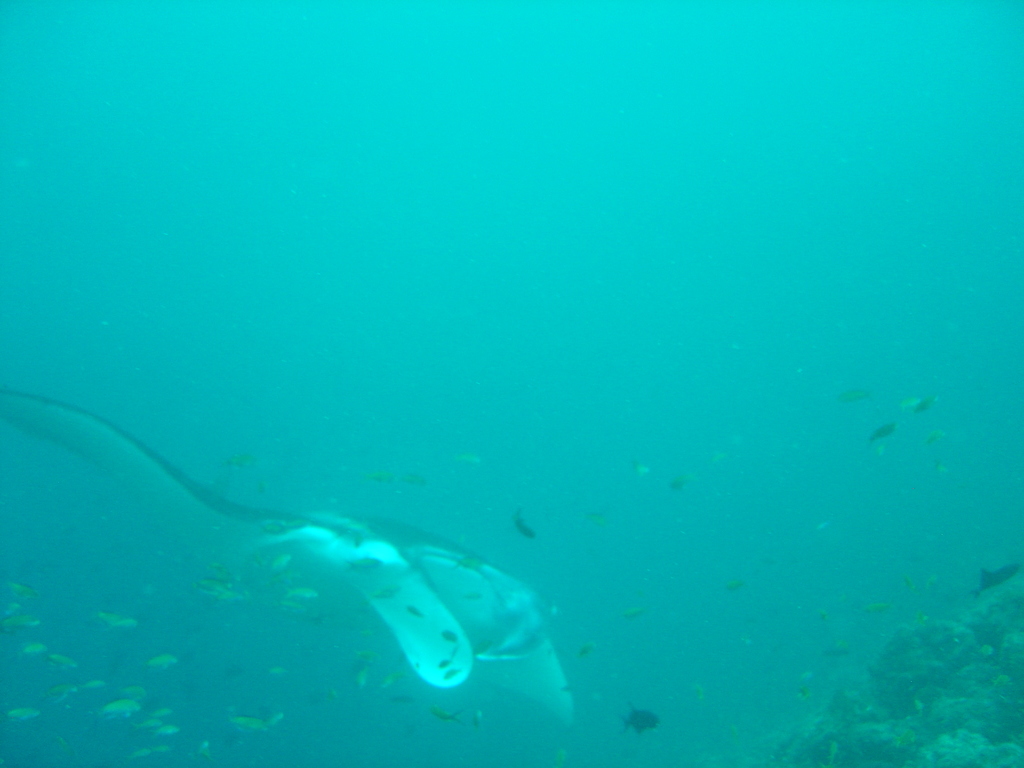 DSC00432.JPG
