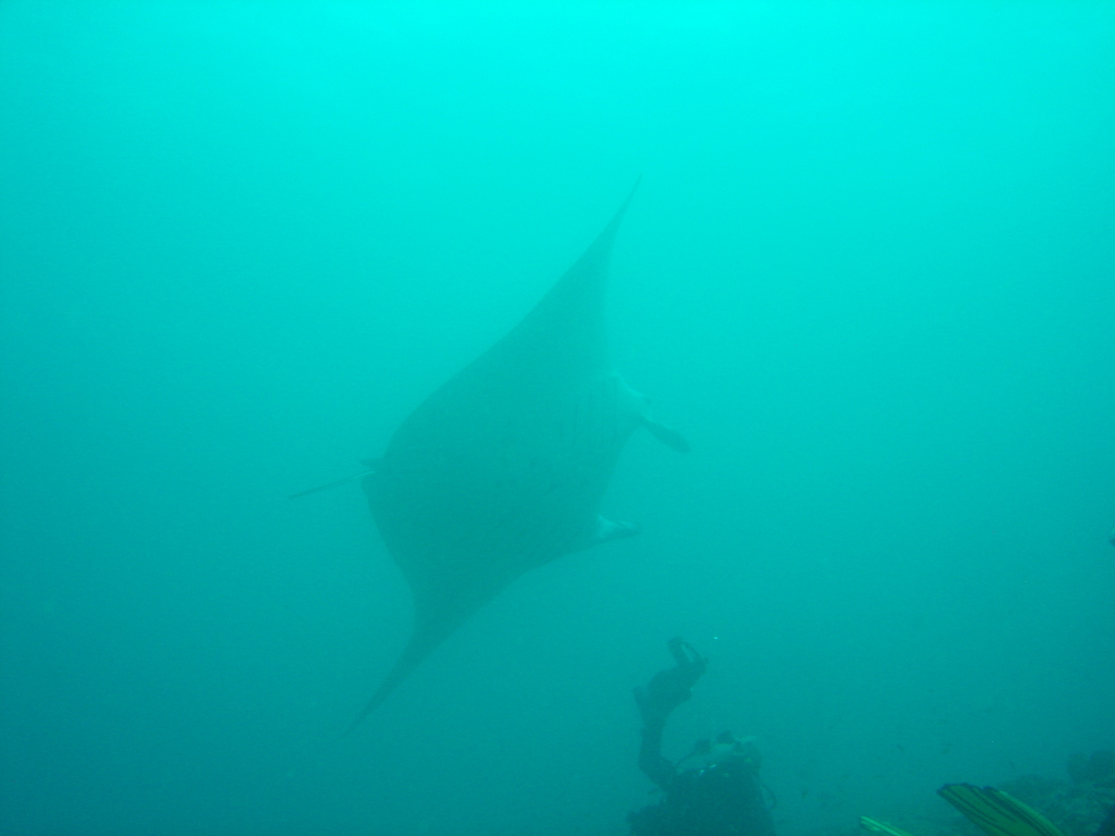 DSC00433.JPG