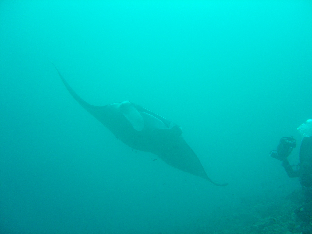 DSC00435.JPG