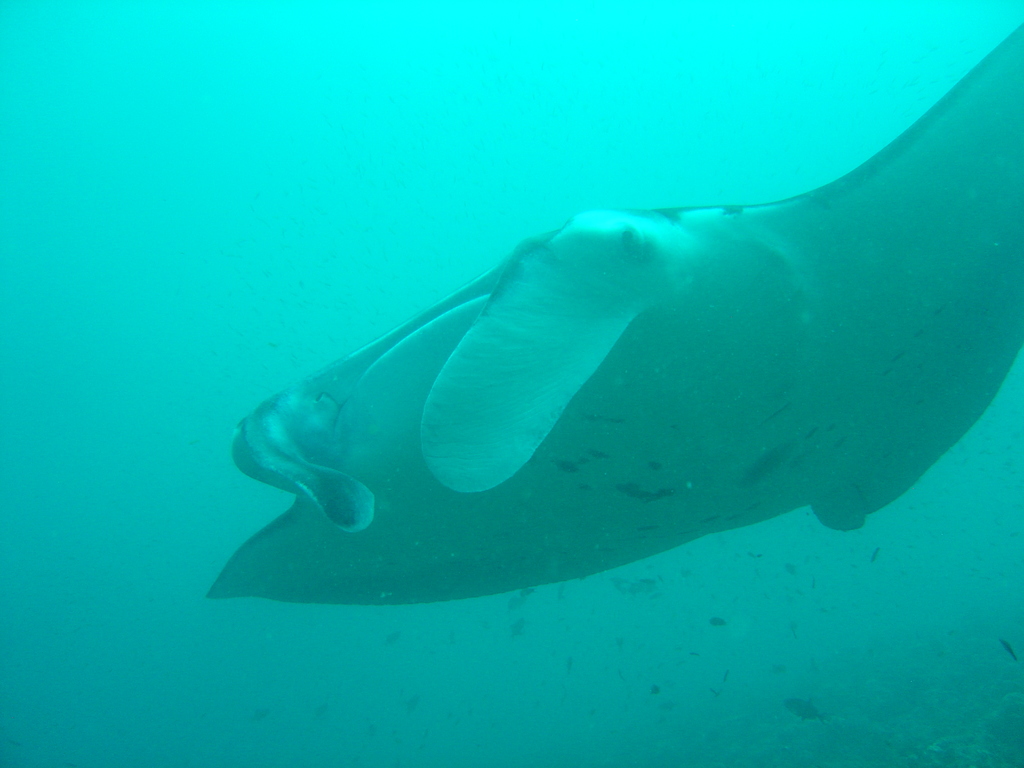 DSC00445.JPG