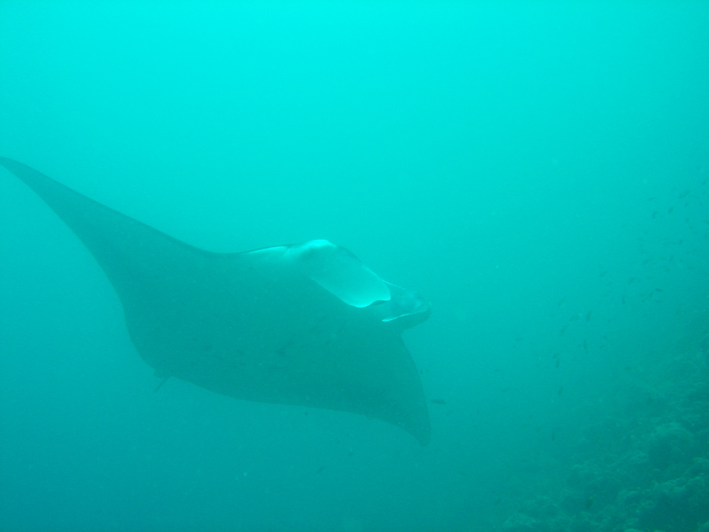 DSC00477.JPG