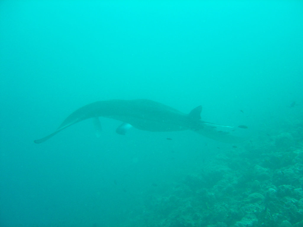 DSC00482.JPG
