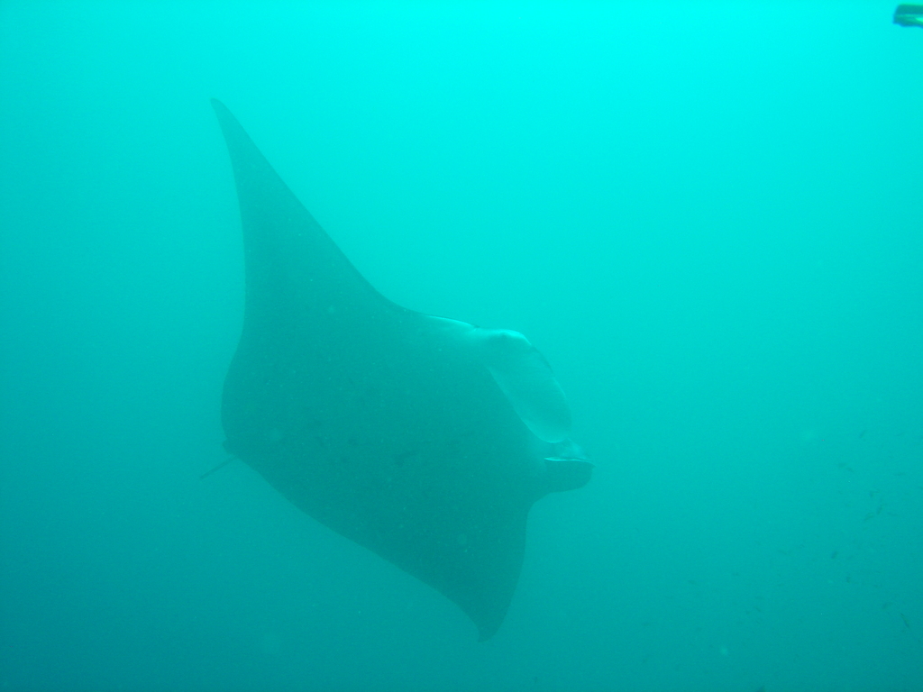 DSC00487.JPG
