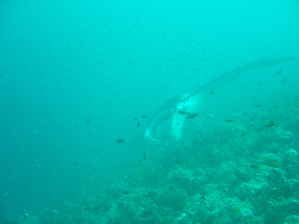 DSC00494.JPG