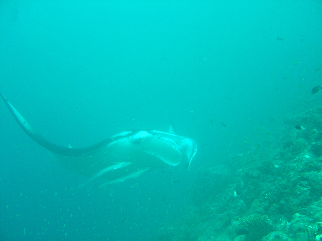 DSC00495.JPG