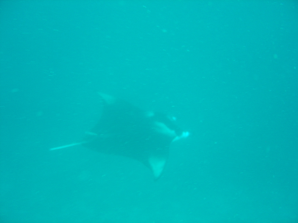 DSC00521.JPG
