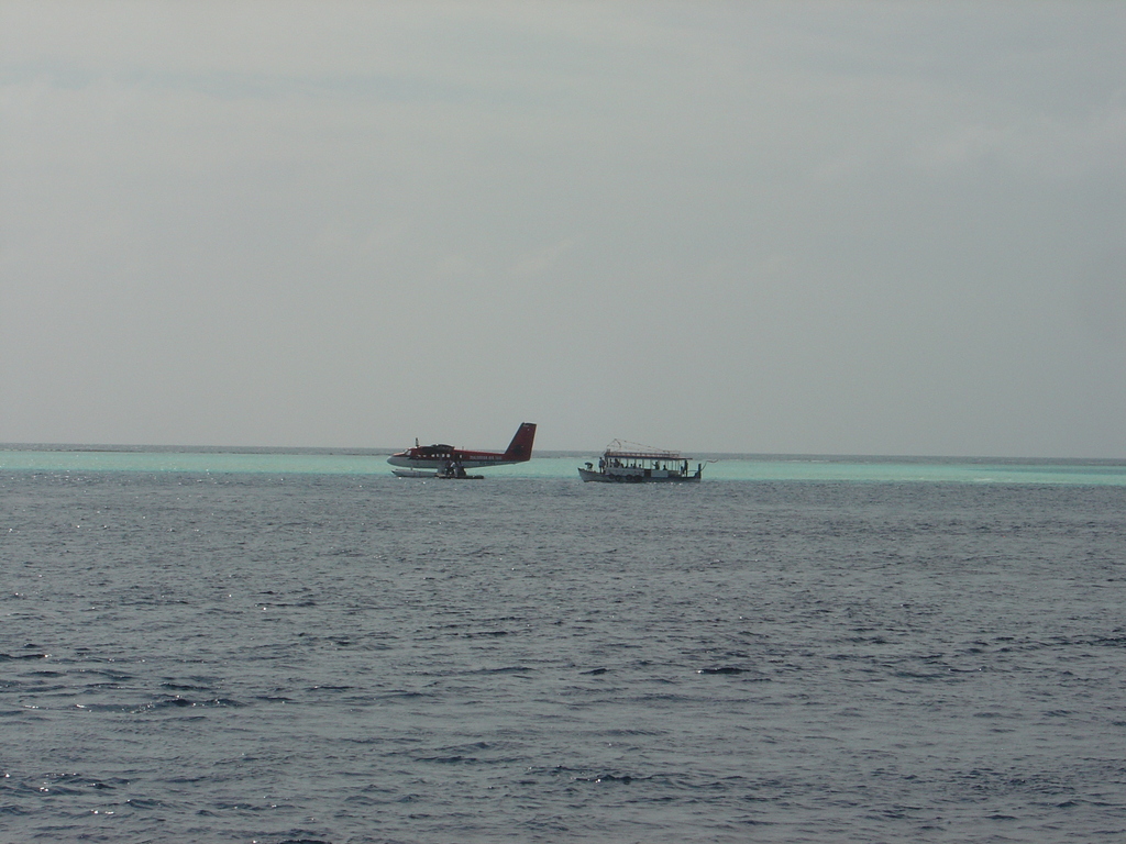 DSC00558.JPG