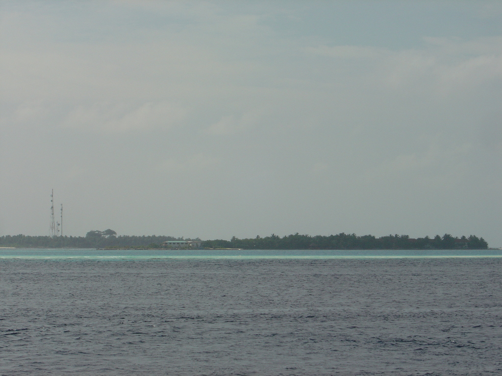 DSC00560.JPG