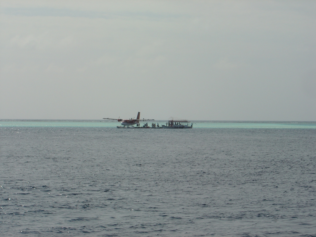DSC00562.JPG
