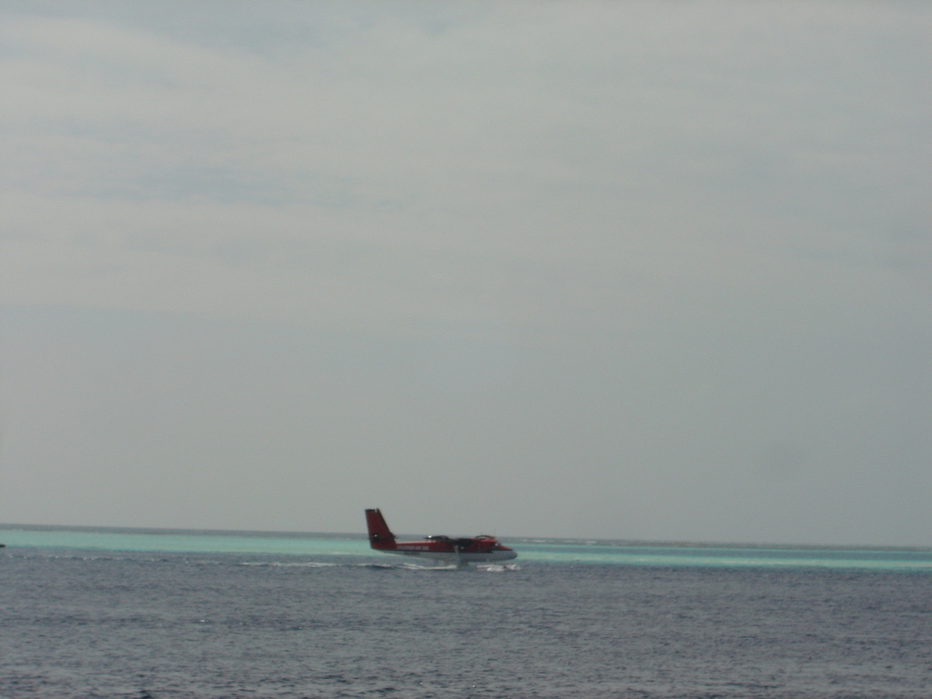 DSC00565.JPG