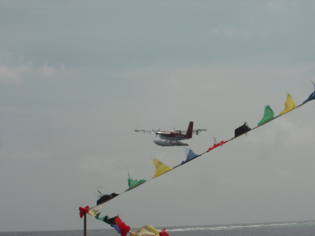 DSC00571.JPG