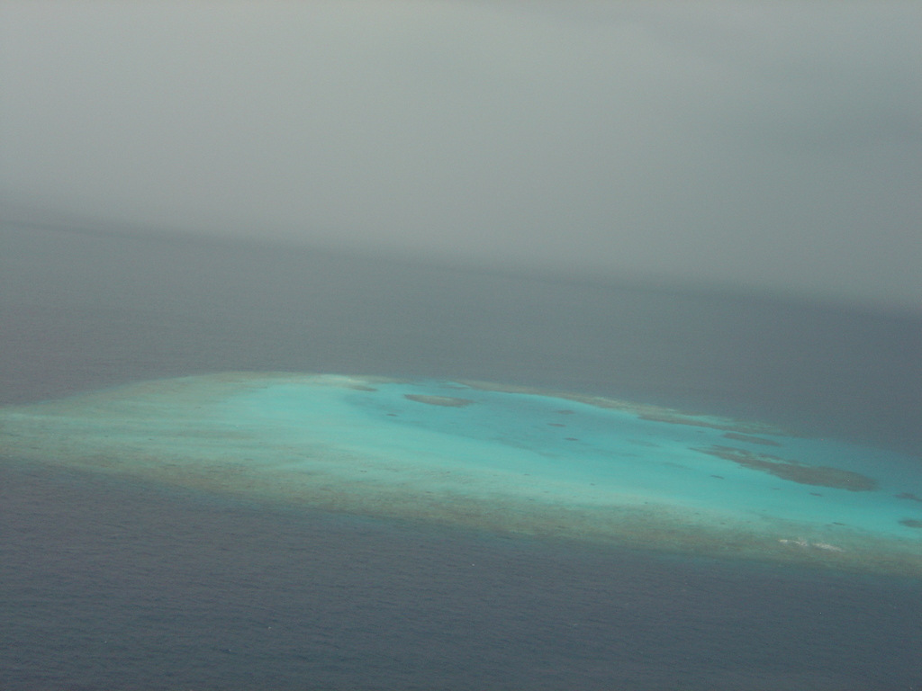 DSC00580.JPG