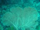 Filename=DSC00007.JPG
Filesize=487KiB
Dimensions=1024x768
Date added=Aug 05, 2014 DSC00007.JPG