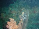 Filename=DSC00008.JPG
Filesize=494KiB
Dimensions=1024x768
Date added=Aug 05, 2014 DSC00008.JPG