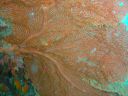 Filename=DSC00011.JPG
Filesize=512KiB
Dimensions=1024x768
Date added=Aug 05, 2014 DSC00011.JPG