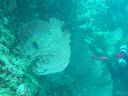 Filename=DSC00013.JPG
Filesize=464KiB
Dimensions=1024x768
Date added=Aug 05, 2014 DSC00013.JPG